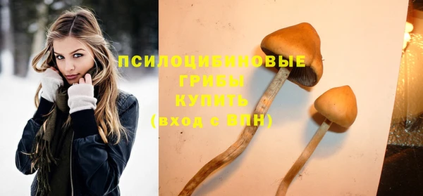 каннабис Абаза