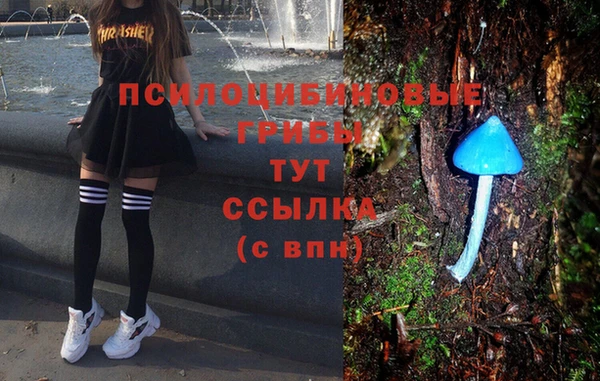 ПСИЛОЦИБИНОВЫЕ ГРИБЫ Киров