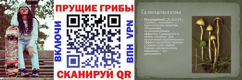 продажа наркотиков  Инсар  KRAKEN зеркало  Псилоцибиновые грибы мицелий 